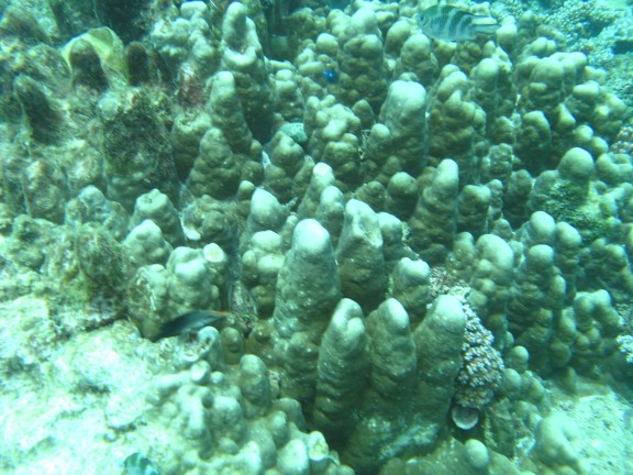 Queensland, Australia
