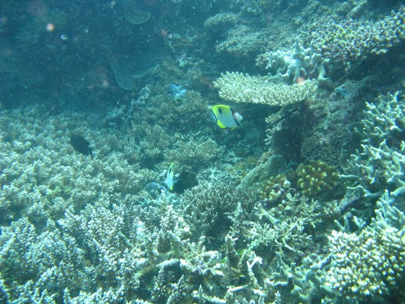 Queensland, Australia
