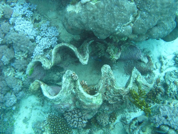 Queensland, Australia