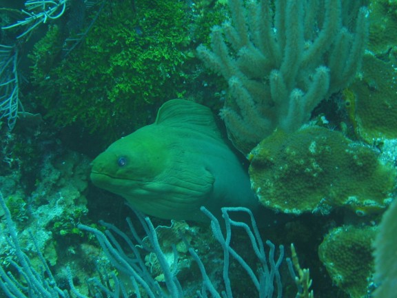 egitto sharm