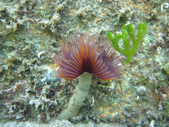 Margate, South Africa