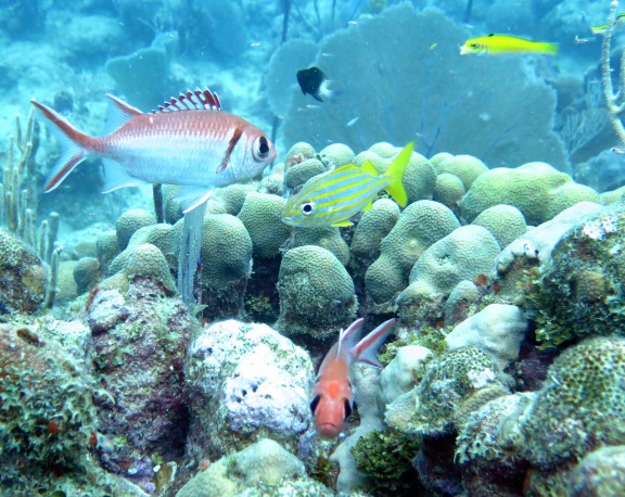 Bayahibe, Dominikanische Republik