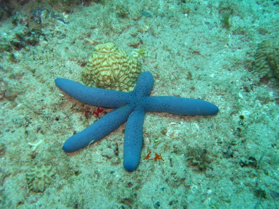 Western Australia, Australia