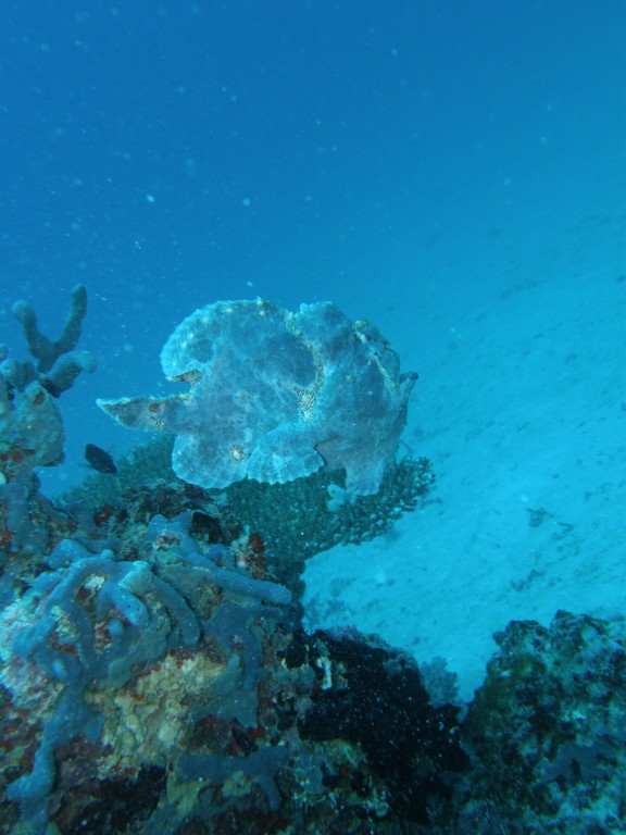 Velidhu, Maldives