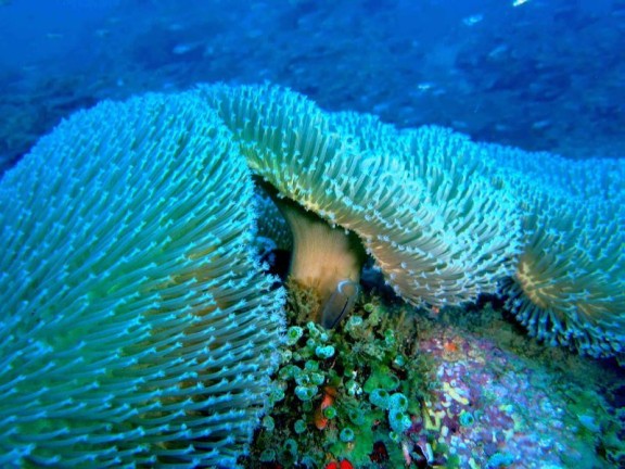 port blair, india