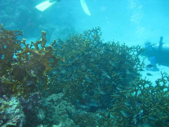 Queensland, Australia