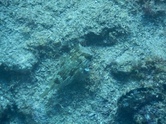 Guaymas, Mexico