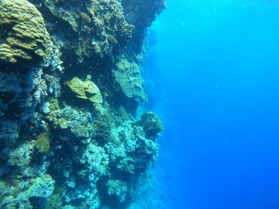 Red Sea, Egypt