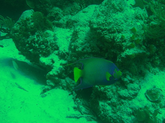 Cozumel, Mexico