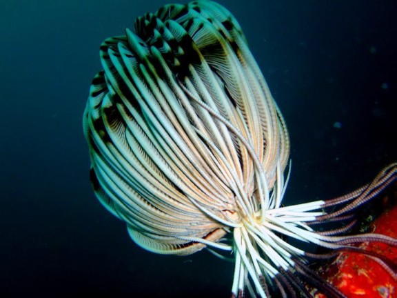 port blair, india