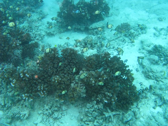 Queensland, Australia