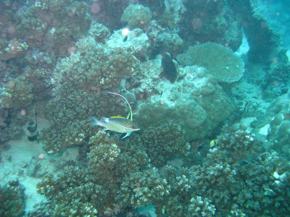 Queensland, Australia