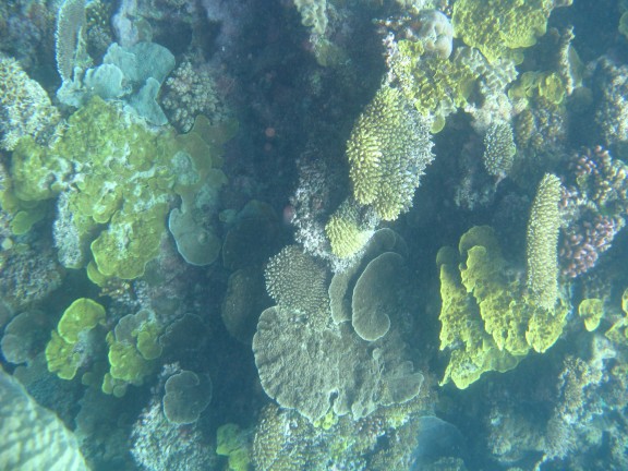 Queensland, Australia