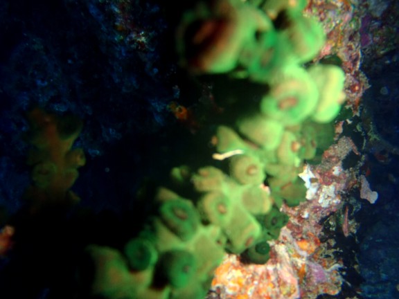 Andaman, India