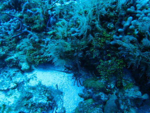 Quintana Roo, Mexico