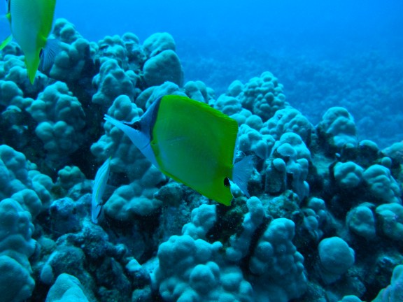 Honolulu, United States