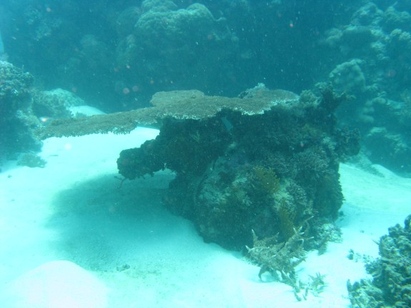 Queensland, Australia
