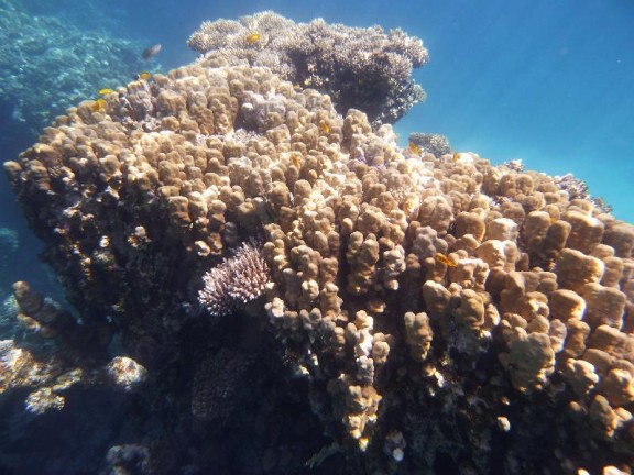 Dahab, Egypt