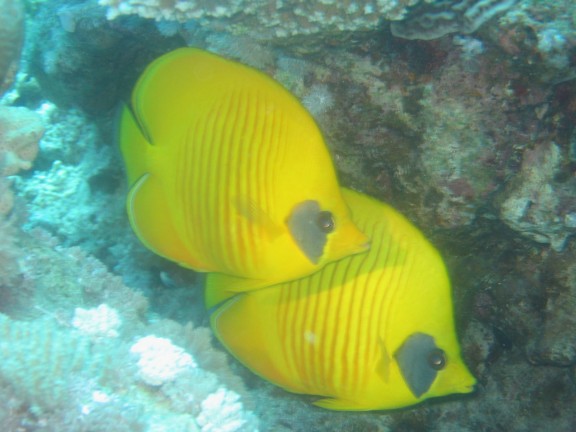Hurghada, Egitto