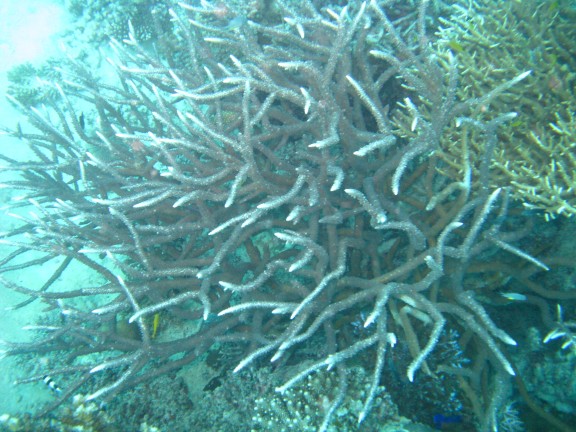 Queensland, Australia