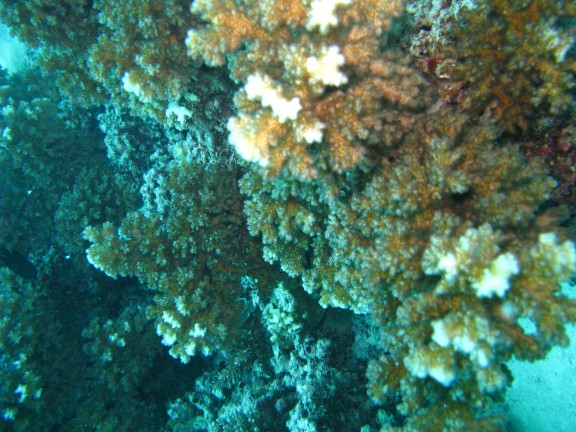 Queensland, Australia