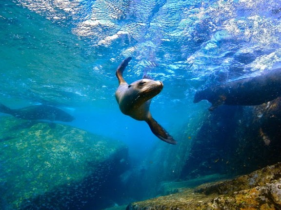Baja California Sur, México