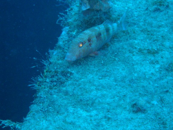 Pompano Beach, Florida