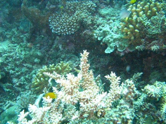 Queensland, Australia
