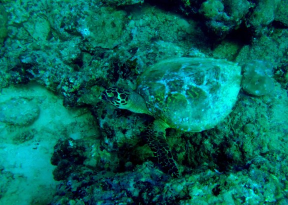 Andaman, India