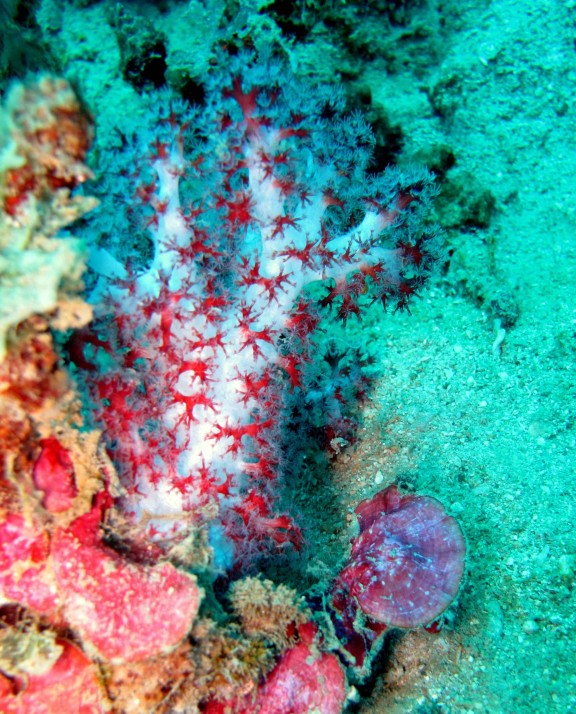 Port Blair, India