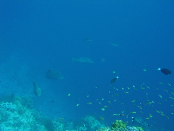 Morombe, Madagascar