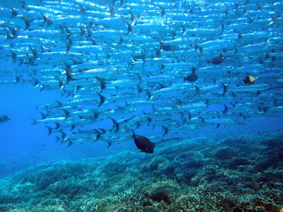 Semporna, Malaysia