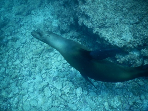 Guaymas, Mexico