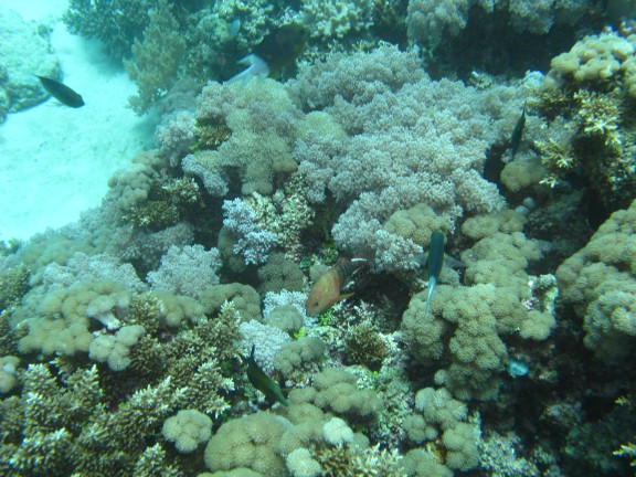 Queensland, Australia