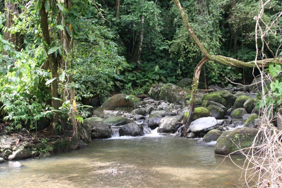 colombia