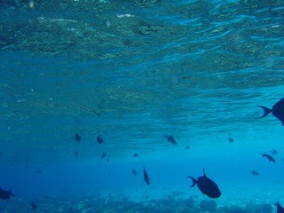 Guraidhoo, Maldives