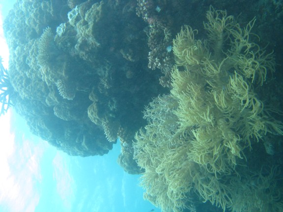 Queensland, Australia