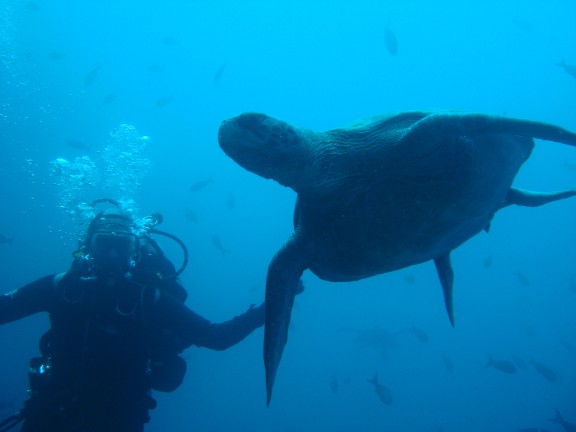 Galapagos Islands