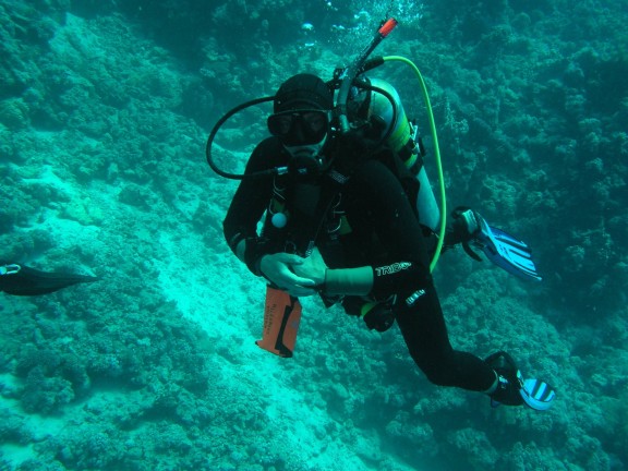Sharm el-Sheikh, Egypte
