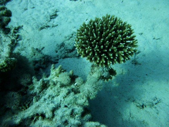 Dahab, Egypt