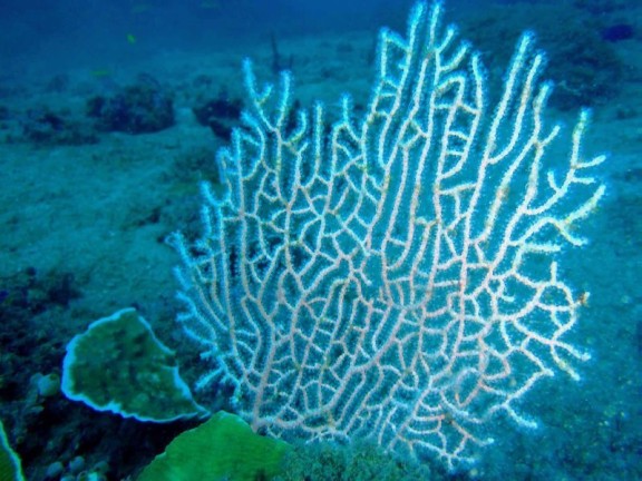 port blair, india