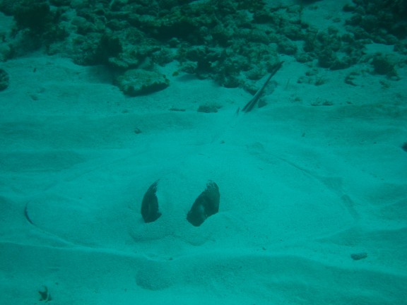 Isla Mujeres, Mexico