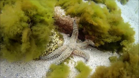 Plobannalec-Lesconil, France