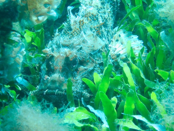 egitto sharm