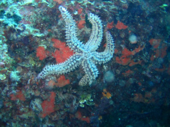 Torroella de Montgrí, España