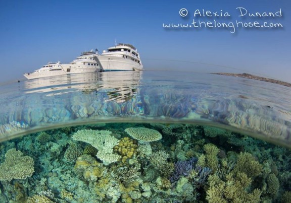 Sharm El-Sheikh, Egypt