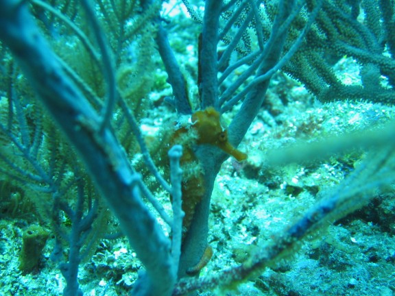 Hurghada, Egitto