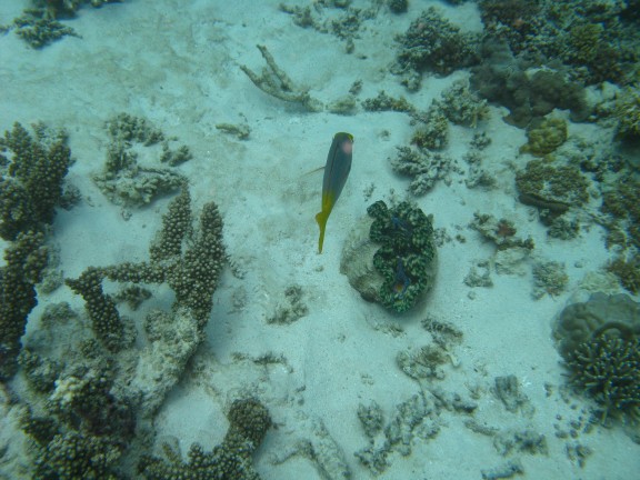 Queensland, Australia