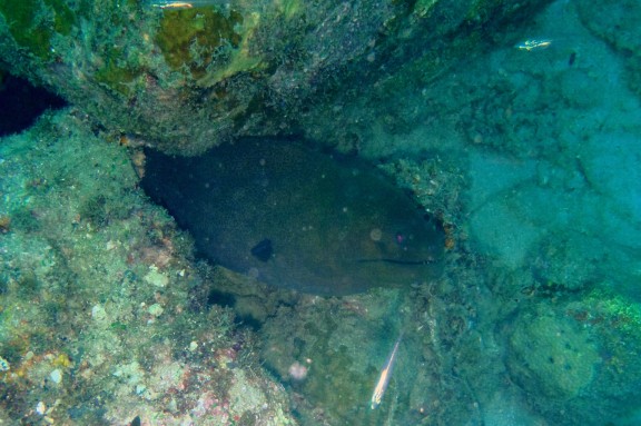Andaman, India