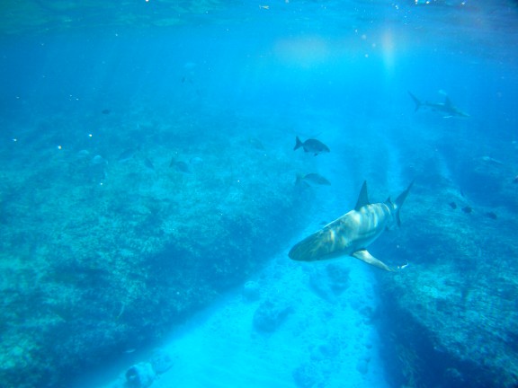 Alice Town, The Bahamas